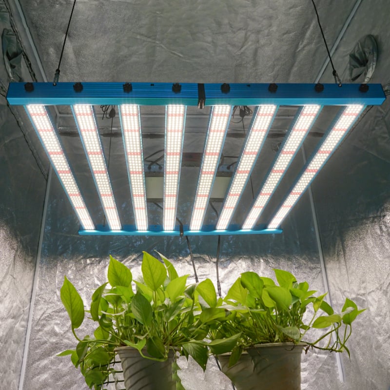 X55-650W-281B-UV-IR_wr_04