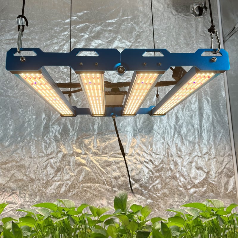 P55-240W-281B-UV-IR_wr_06a